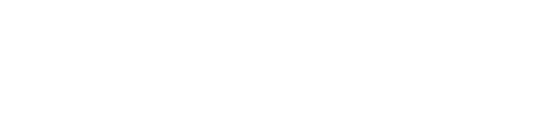 stolze group logo w